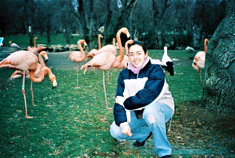 ZOO DE MADRID-1992/2001/2006/2007-MADRID - Paseando por España-1991/2016 (44)