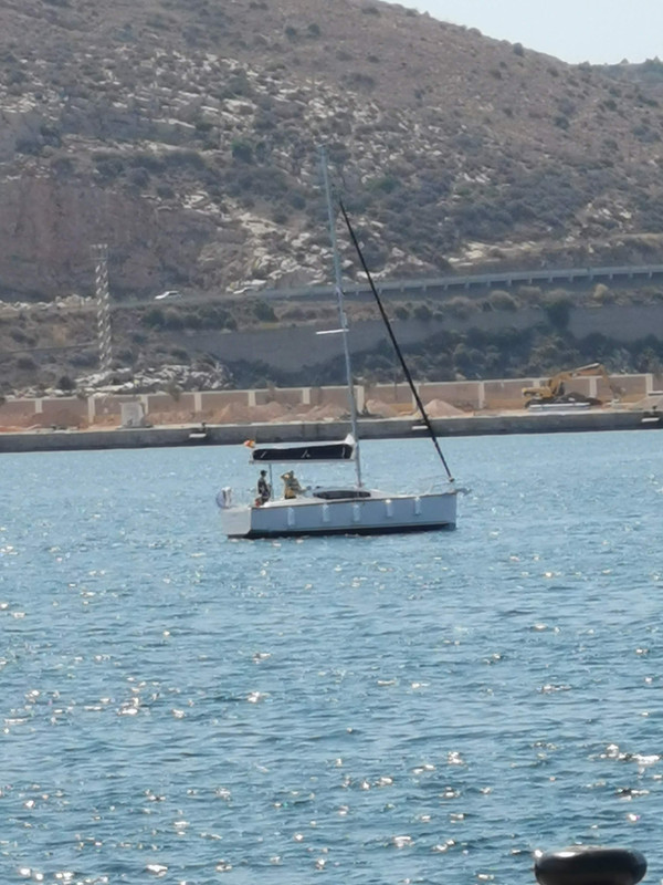 AAE515DD-A9CE-4ADA-8DC5-1E7EFA4E7AFB