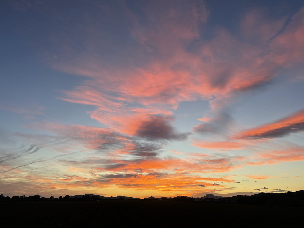 ACF5C0B8-01C3-4446-AAEF-1147D8982729