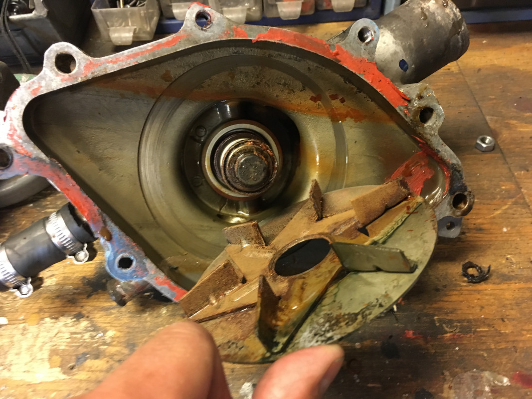 217843B4-F341-435E-96BB-D3CDDCCB3D68