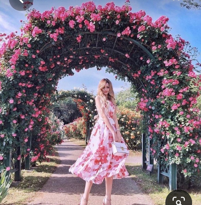 Screenshot_20230527_220326_Pinterest