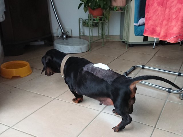 [Image: DSC-0001-2022-04-05.jpg]