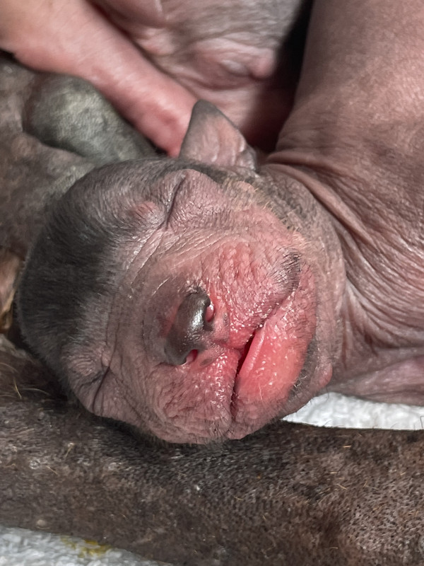 C940177C-F8ED-4D9A-A18D-147B9785D13F