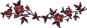 red 74