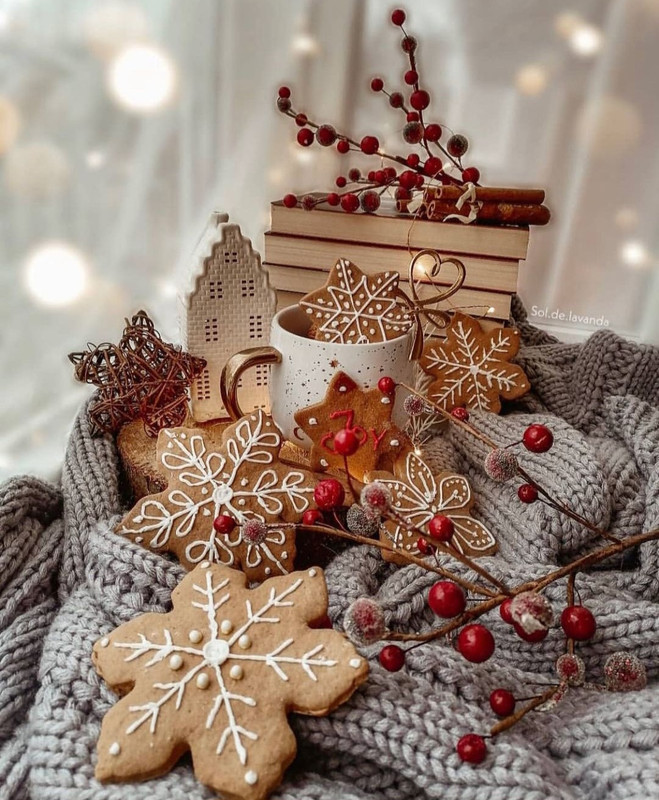 Screenshot_20231210_171214_Instagram