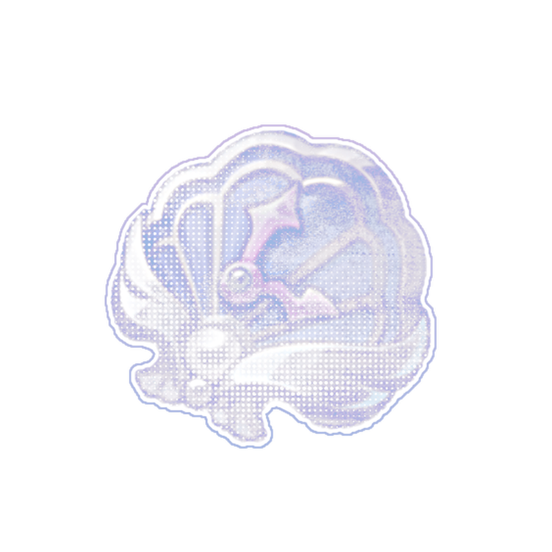 shell