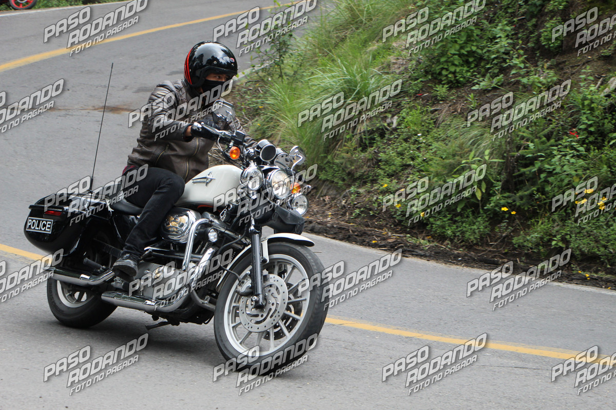 IMG 7637 wm 1691845 0999999999 watermarked — Postimages