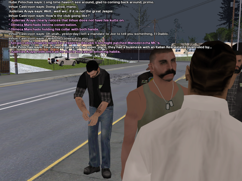 SSRoleplay753.png