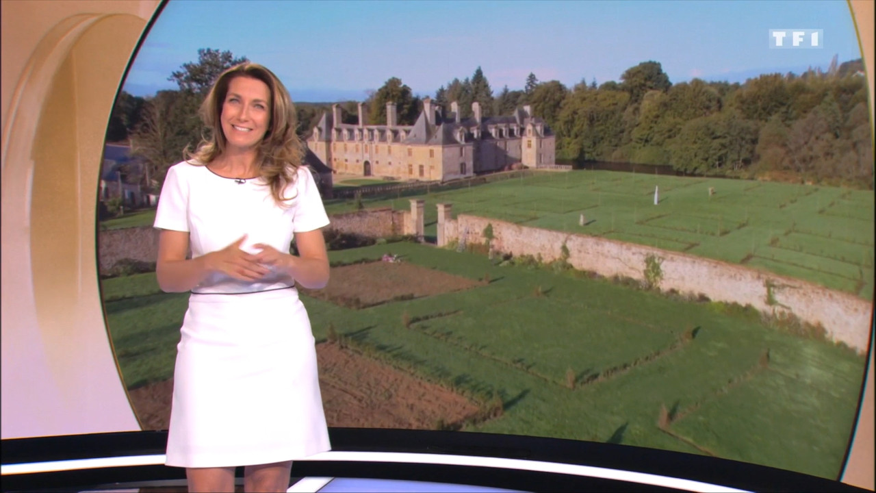 2020-11-15_13_00_TF1_Le-13h.mp4_snapshot_00.46.10.443