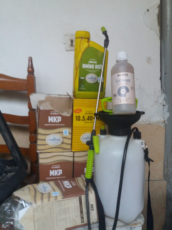 457869584_8012691542159498_3699901565446440370_n