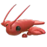 Lobster