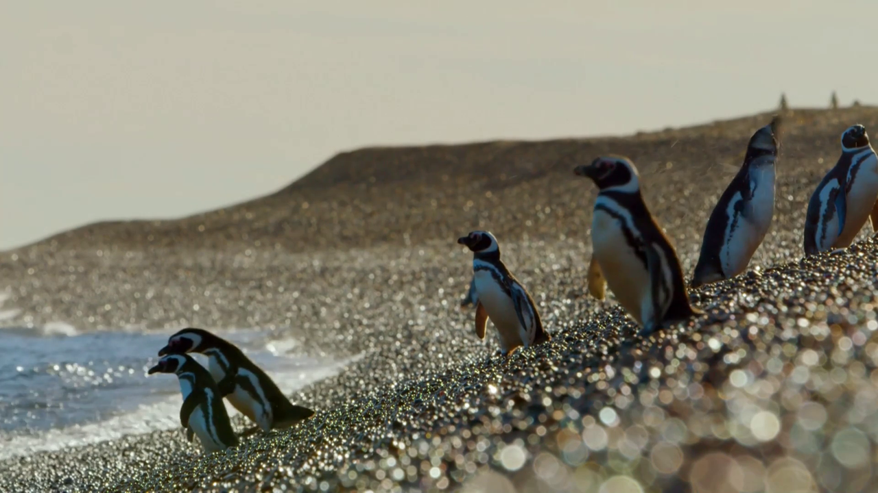 vlcsnap-2023-07-25-16h14m28s760