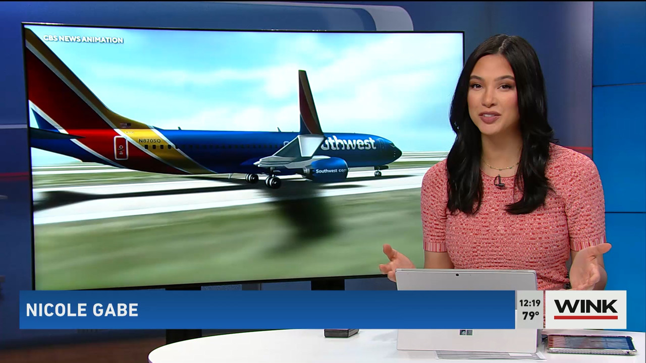 02.07 - 17.00.00 - The WINK Noon News  ᴺᵉʷ. Midday news update..ts_snapshot_25.30.236