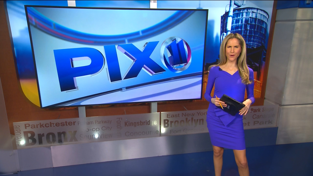 08.25 - 03.00.00 - PIX11 News at 10 with Tamsen Fadal and Kori Chambe....ts_snapshot_02.21.451