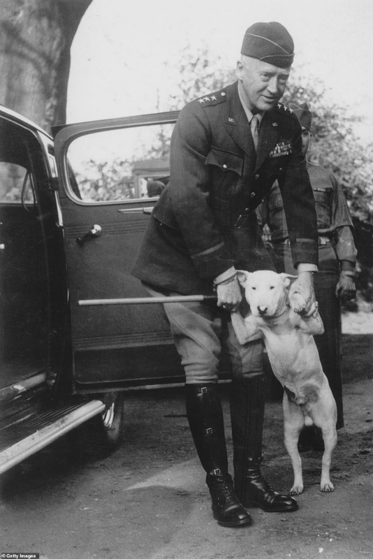 L etrange accident mortel du général Patton General-Patton-with-his-beloved-bull-terrier-Willie-in-1944-The-a-42-1576957739398