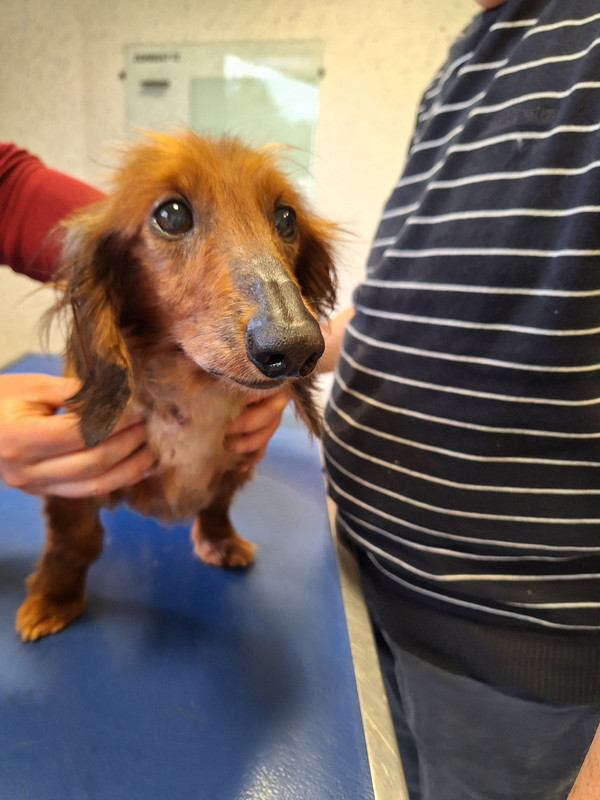 [Image: 20240419-172756-0.jpg]