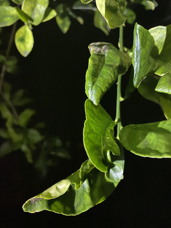 F1AA470D-C7A8-42CD-A612-E8B4C777B407