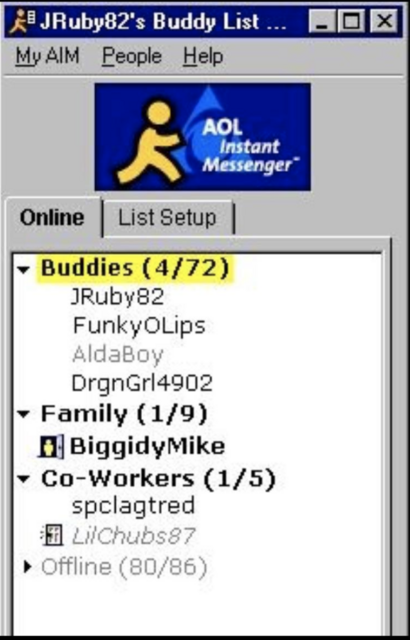 Gay people screen name for aim