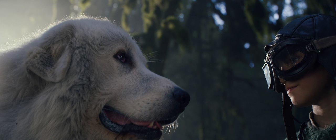 vlcsnap-2023-01-10-15h49m55s590