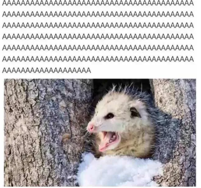 content image