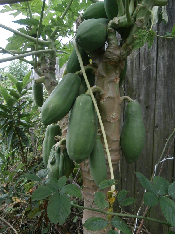 20020