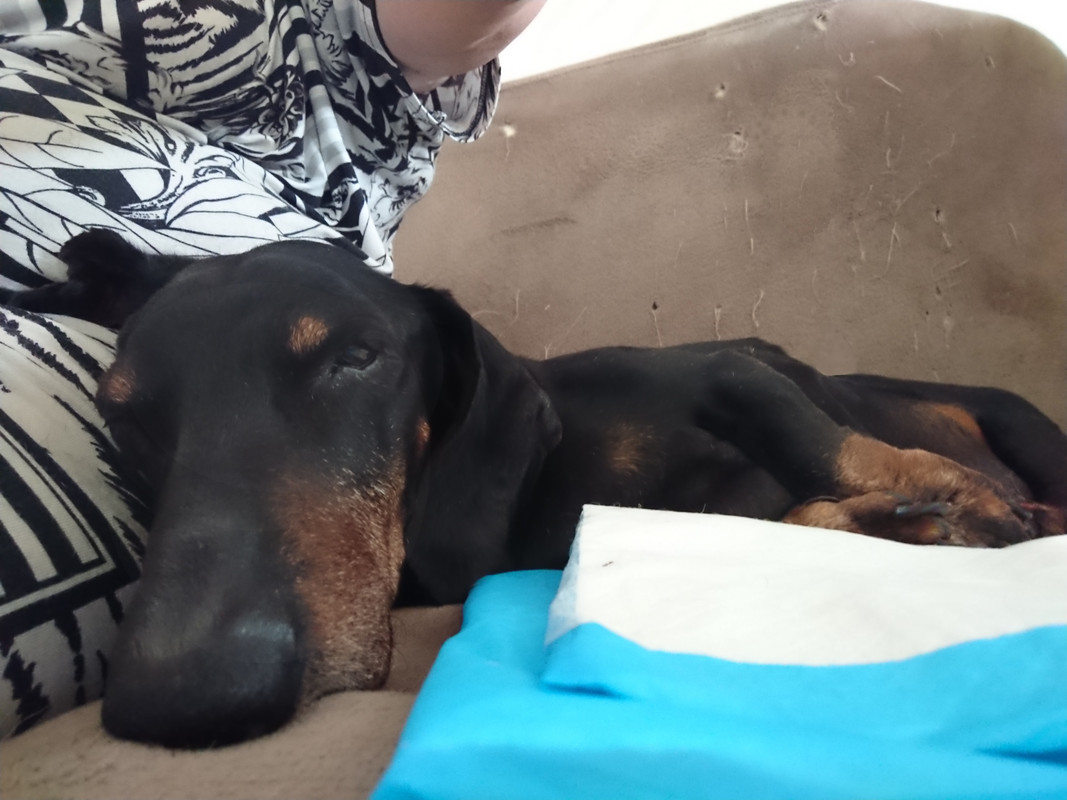 [Image: DSC-1743-copie.jpg]