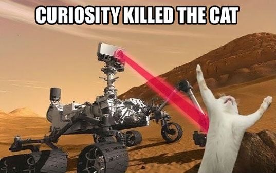 curosity-killed-d-cat.jpg