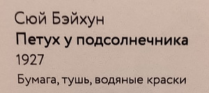 https://i.postimg.cc/QdTRKP0J/9.jpg