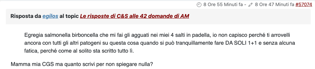 File allegato: