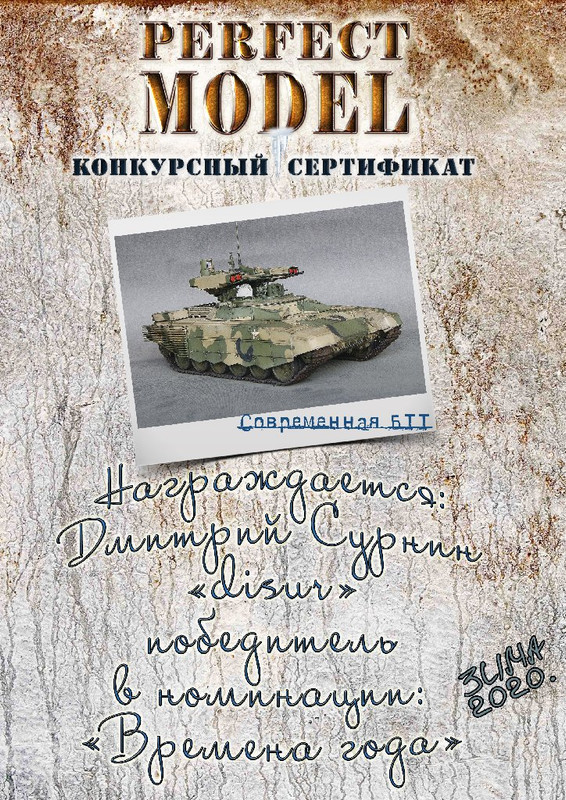 Зимний диплом современная БТТ