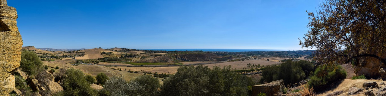 DSC_0321_stitch