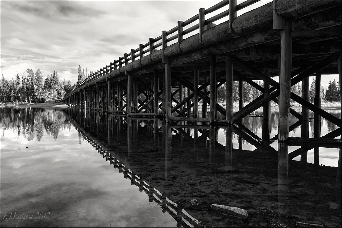 Bajo-el-puente.jpg