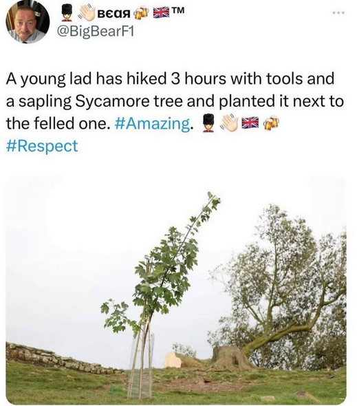 Screenshot 2023-10-02 232716