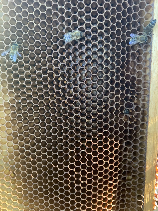 9ADCA857-97B8-431E-927A-92612C280A47