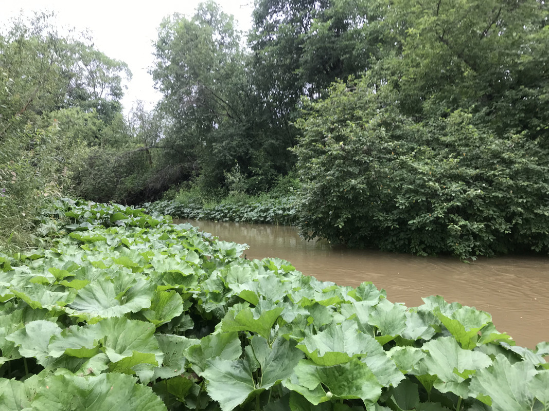 F09FC7B5-837D-47A7-B5F4-0EE09021CE09