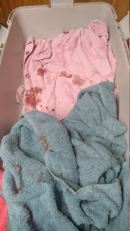 IMG a6bf9c77001e5d60a97eba016669b3b2 V