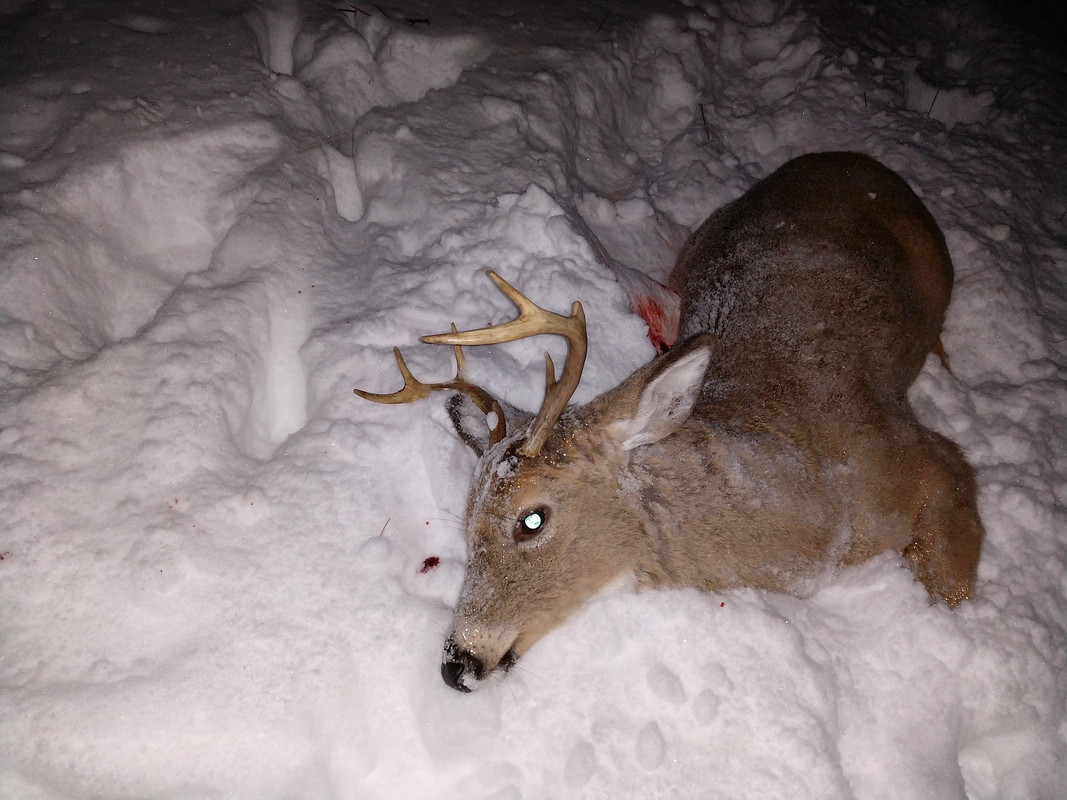 IMG_20191207_165501505