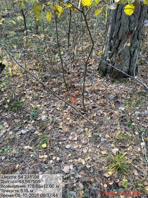 IMG_2829 — средний размер