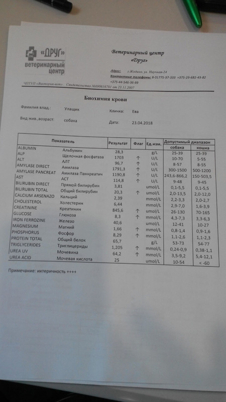 144D2467-A13E-4C81-ABC9-99B8B5C53EBB