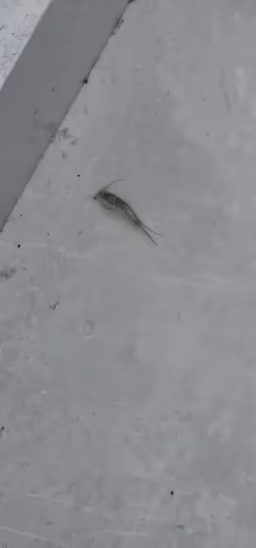 20250927_005748