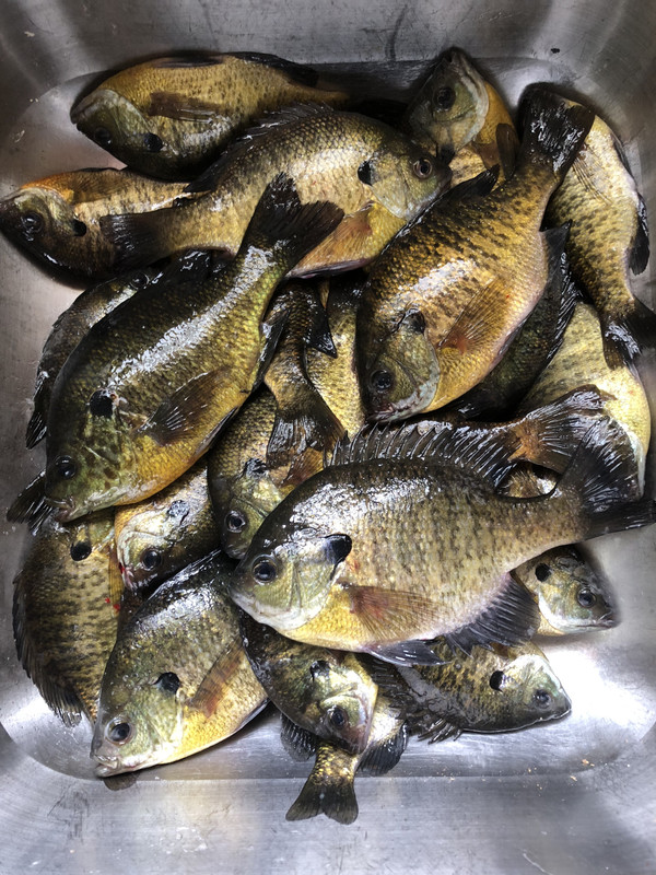 23F321BF-0953-470A-B334-55833329FCB6