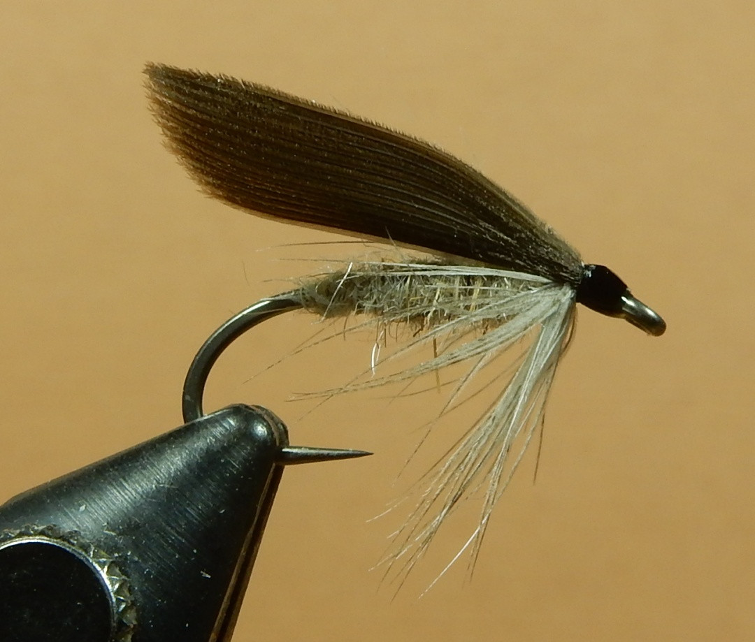 Gray-Gnat-1080.jpg