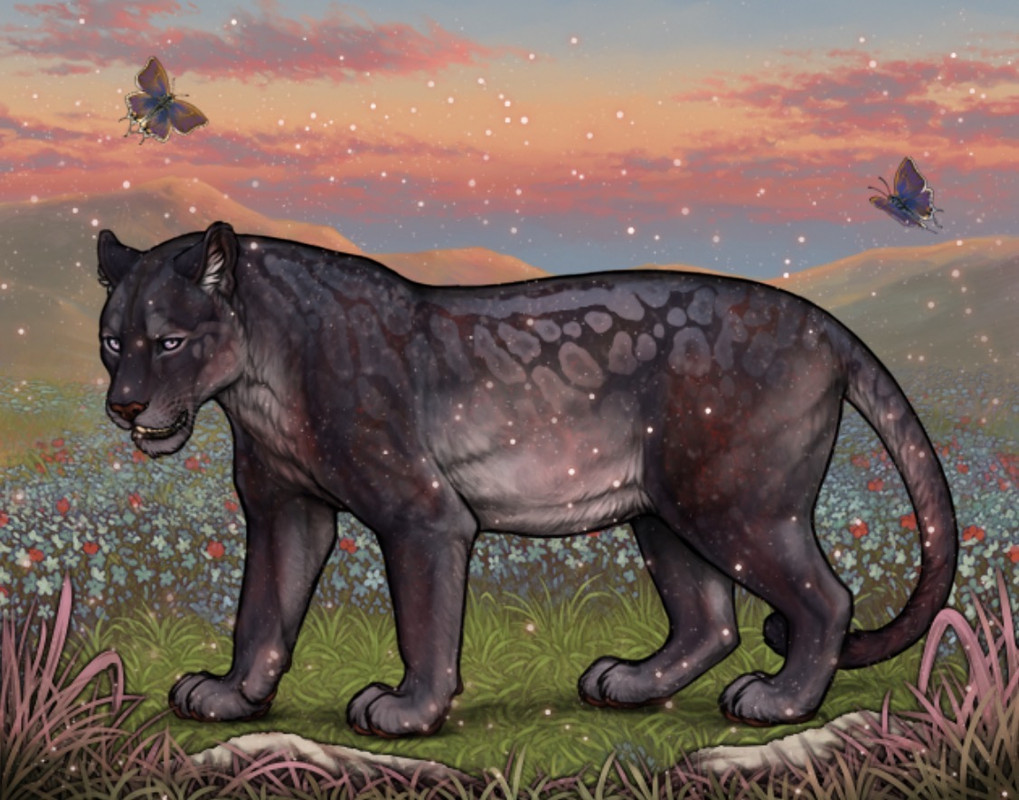 Decorate my Jag, win a Crunchy! [CLOSED] :|: Lioden