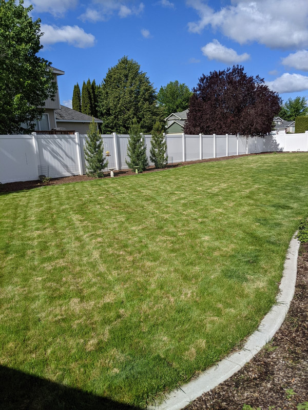 PXL_20210528_163009346