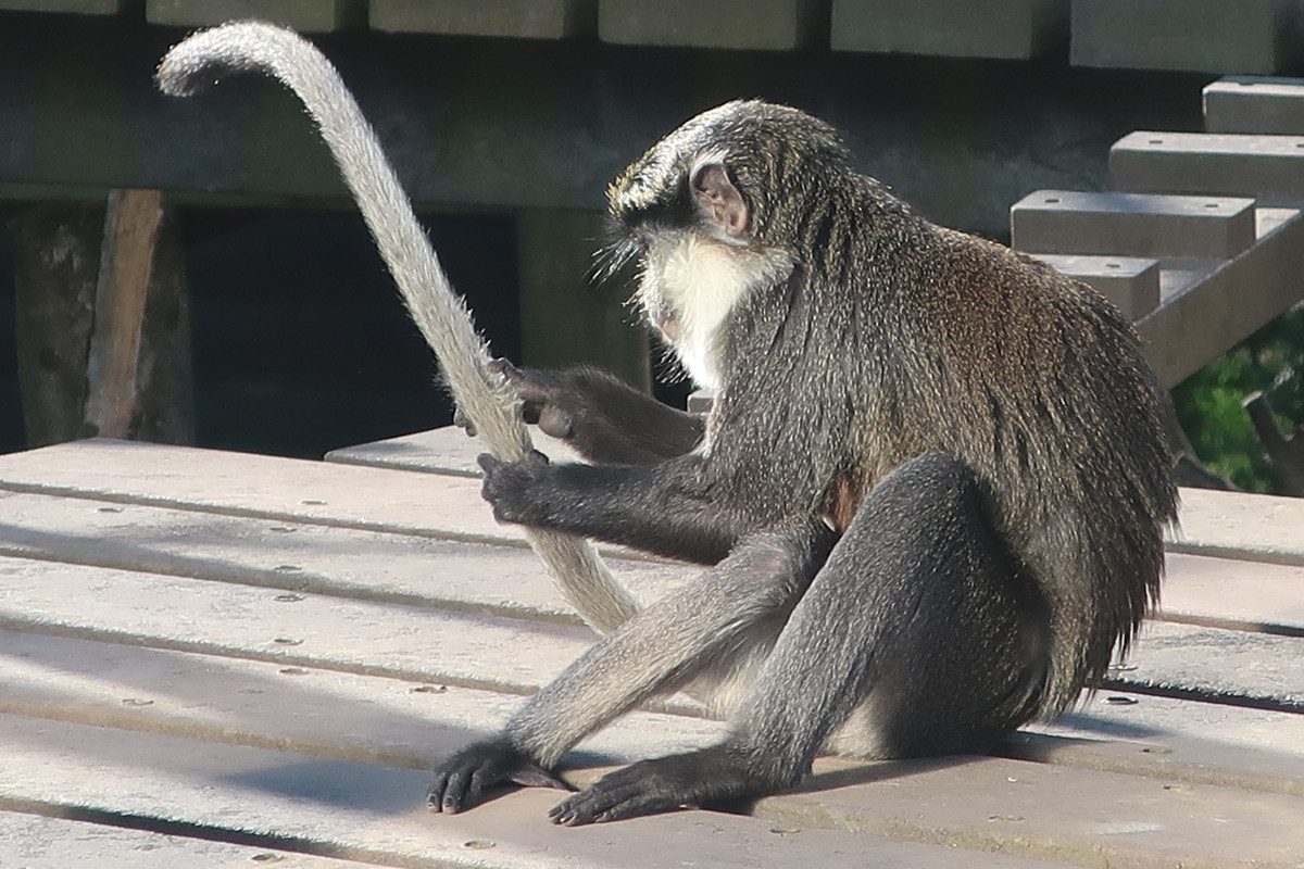 IMG_0823