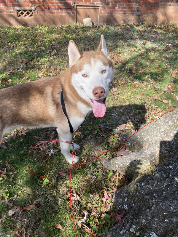 00F3C7D3-0A02-404A-BC93-99CA8AE0CD73