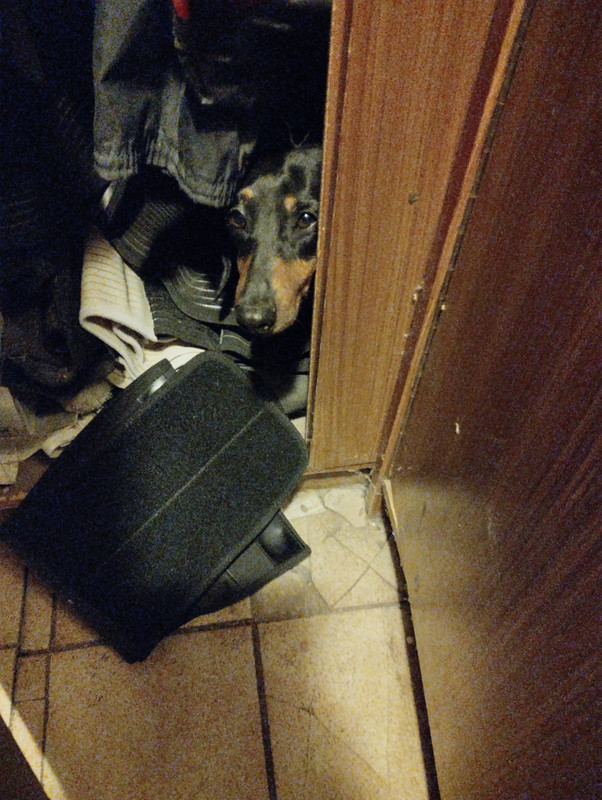 [Image: 1671546418060.jpg]