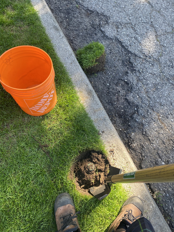 16A072CA-CBA1-4334-BE77-908F5E268661