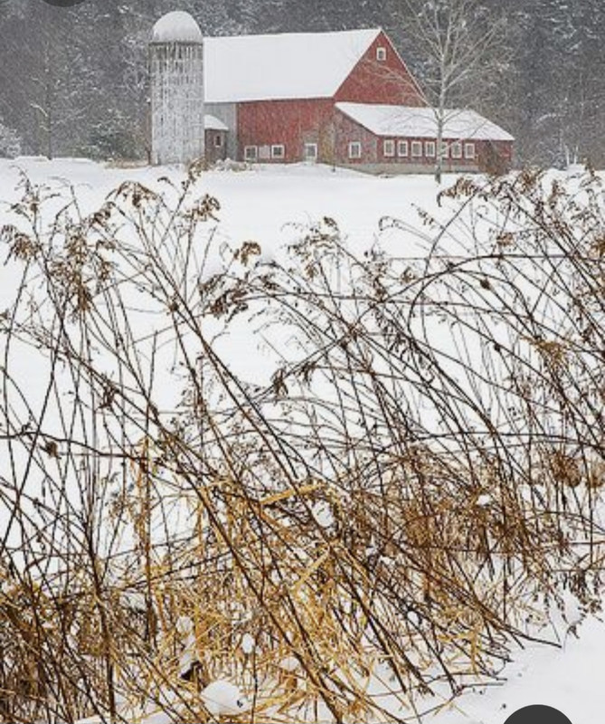 Screenshot_20230412_192647_Pinterest