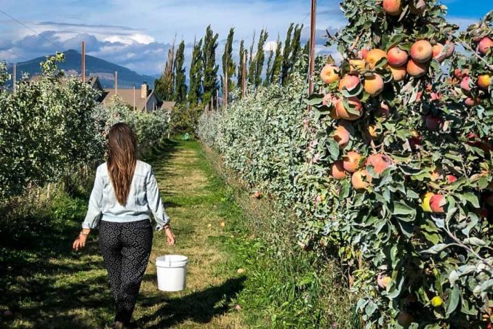 Things to Do in Hood River